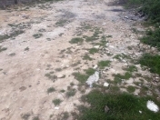 Satılır 15 sot torpaq Şamaxı