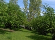 Satılır 20 sot torpaq Oğuz