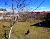 Satılır 2.6 sot torpaq Zabrat 2