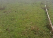 Satılır 6 sot torpaq Şamaxı