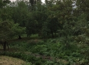 Satılır 70 sot torpaq İsmayıllı