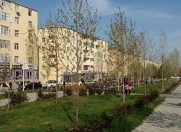 Satılır 2 otaqlı 52 m2 yeni tikili Masazır