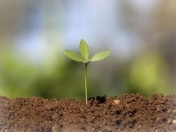 Satılır 28 sot torpaq Masazır