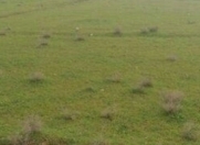 Satılır 6 sot torpaq Sumqayıt