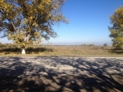 Satılır 145 sot torpaq Quba