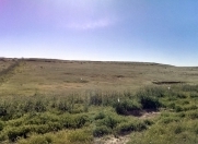 Satılır 83 sot torpaq Masazır