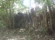 Satılır 53 sot torpaq Şəki