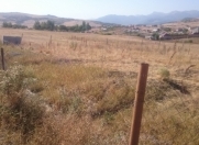 Satılır 10 sot torpaq Şamaxı