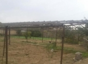 Satılır 30000 sot torpaq Zirə