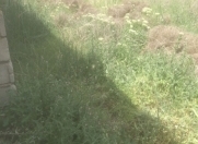 Satılır 6.3 sot torpaq Naxçıvan