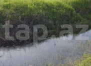 Satılır 50 sot torpaq Qax