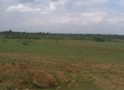 Satılır 12 sot torpaq Gəncə