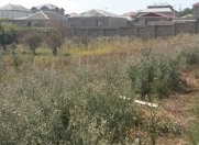 Satılır 10 sot torpaq Xırdalan