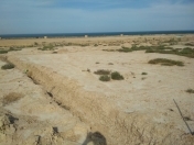 Satılır 6 sot torpaq Sumqayıt