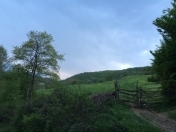 Satılır 350 sot torpaq Quba