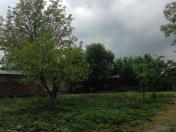 Satılır 10 sot torpaq İsmayıllı