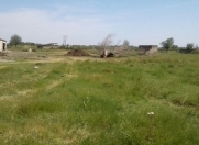 Satılır 157 sot torpaq Salyan