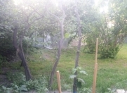 Satılır 3 sot torpaq Şəki