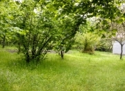 Satılır 71 sot torpaq Oğuz