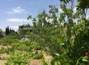 Satılır 5 otaqlı 150 m2 bağ evi 9 mkr