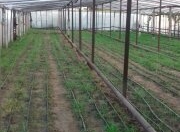 Satılır 4 otaqlı 60 m2 bağ evi Maştağa