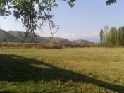 Satılır 230 sot torpaq Xaçmaz