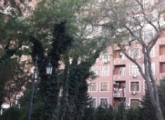 Satılır 4 otaqlı 206 m2 yeni tikili Zabitlər parkı