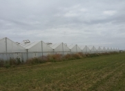 Satılır 3 otaqlı 1500 m2 obyekt Salyan