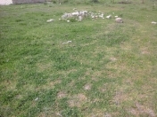 Satılır 6 sot torpaq Quba