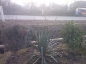 Satılır 4 sot torpaq Lənkəran