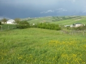 Satılır 12 sot torpaq Şamaxı