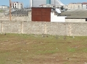 İcarəyə verilir 4 otaqlı 110 m2 bağ evi Bilgəh