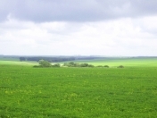 Satılır 12 sot torpaq Şamaxı