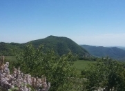 Satılır 48 sot torpaq Şamaxı