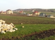 Satılır 12 sot torpaq Şamaxı