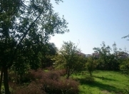 Satılır 15 sot torpaq Buzovna