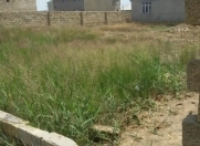 Satılır 2.5 sot torpaq Gəncə