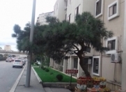 Satılır 1 otaqlı 35 m2 köhnə tikili Kooperasiya Universiteti
