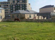 Satılır 3 sot torpaq Masazır