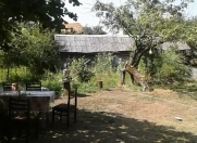 Satılır 22 sot torpaq Qax