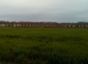 Satılır 500 sot torpaq Xaçmaz