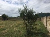 Satılır 10 sot torpaq Quba