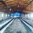 Satılır 300 sot torpaq Quba