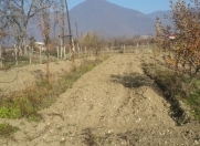 Satılır 30 sot torpaq Qax