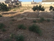 Satılır 24 sot torpaq Buzovna