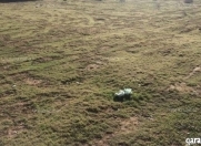 Satılır 6 sot torpaq Gəncə