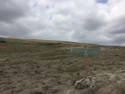 Satılır 200 sot torpaq Şamaxı