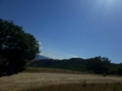 Satılır 50 sot torpaq Şabran