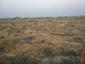 Satılır 382 sot torpaq Sumqayıt