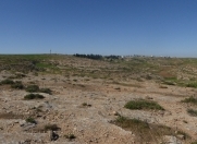 Satılır 12 sot torpaq Gəncə